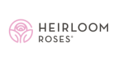 Heirloom Roses